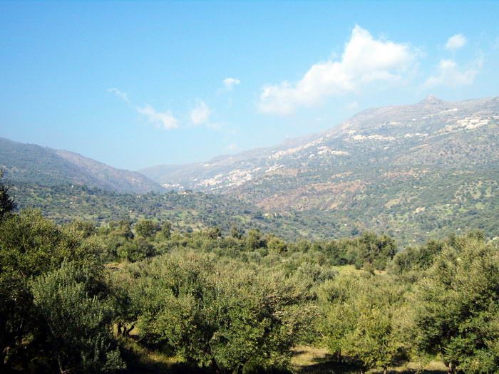 Semaoun en arrièreplan
